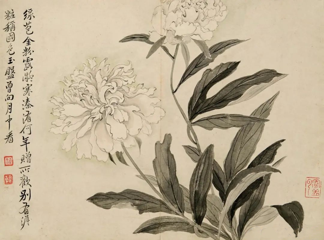 恽寿平花果图册九开