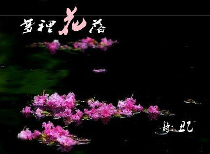 《梦里花落》