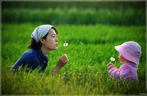 心态治疗的十二条基本原则 （Attitudinal Healing p)