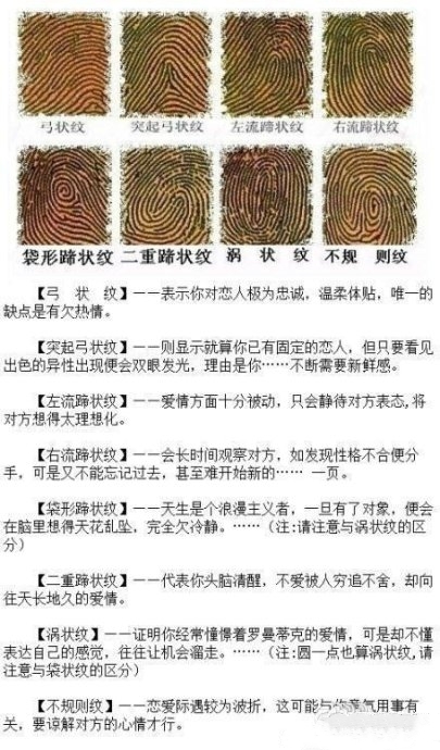 指纹性格分类