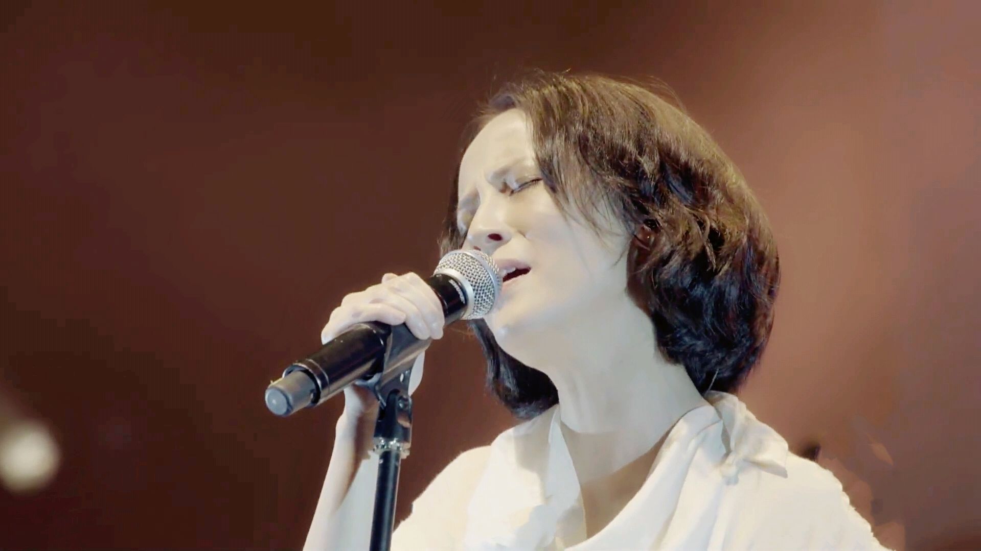 戴玉强、王丽达《总想走进你心里》