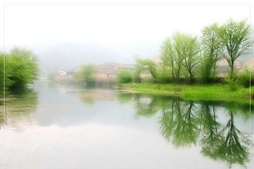 Bandari《Serenade In Green》（绿意小夜曲）