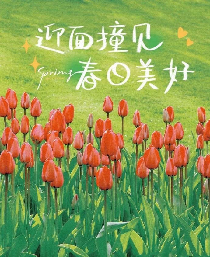全心全意，开心每一天
