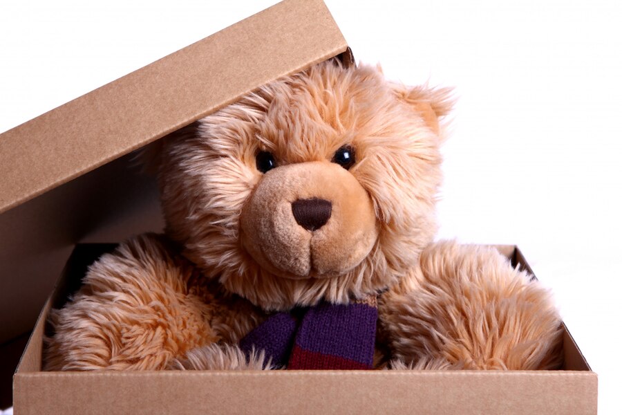 Toy Box《Teddy Bear》（泰迪熊）