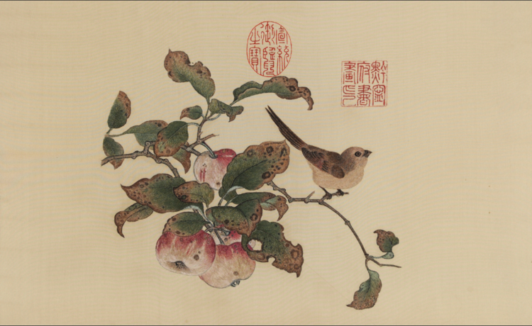 宋黄筌《苹婆山鸟图》