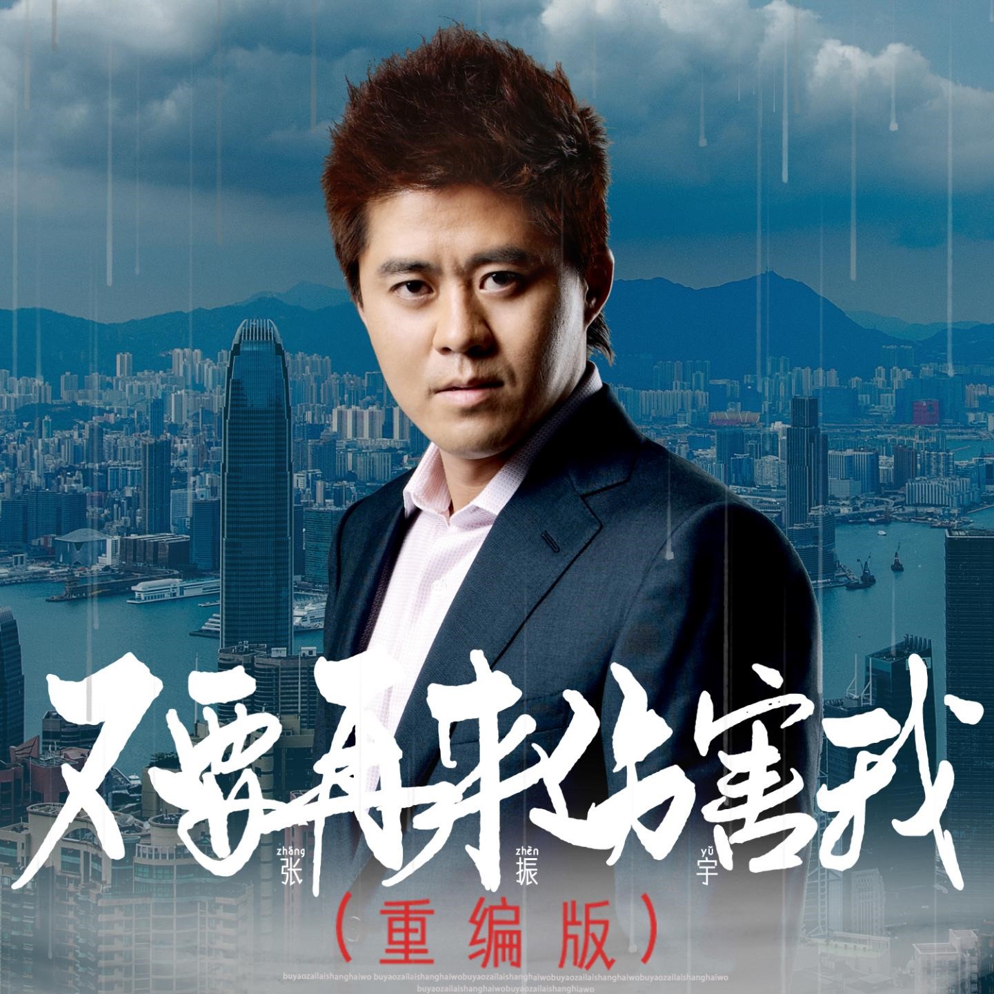 张振宇《不要再来伤害我》
