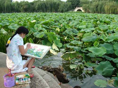 夏天一定要来昆明的10个理由