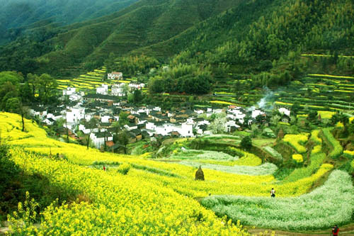“中国最美的乡村”婺源旅游攻略　