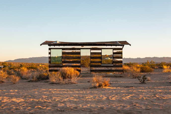 装置作品——Lucid Stead