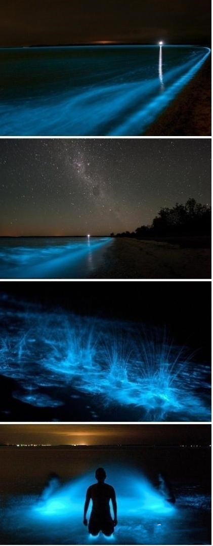 澳大利亚的“潘多拉星球”之湖