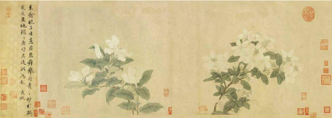 元 钱选《来禽栀子图》