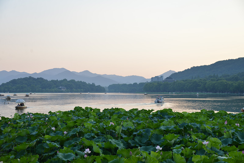 舒伯特 Auf Dem Wasser Zu singen（水上吟）