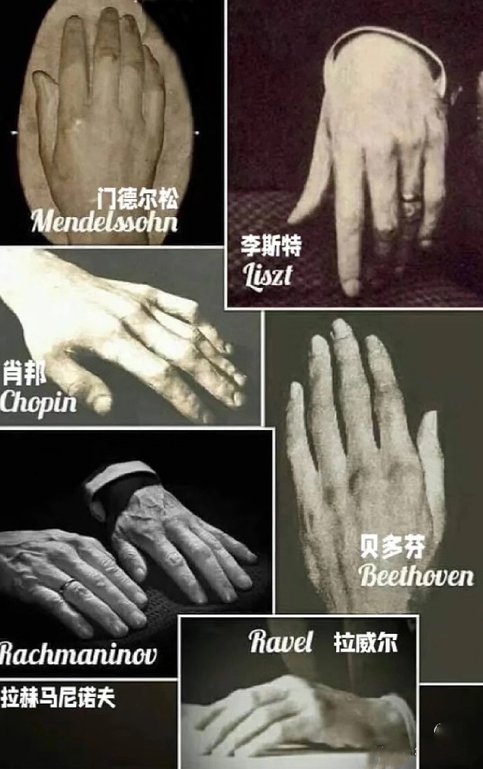 音乐家的手