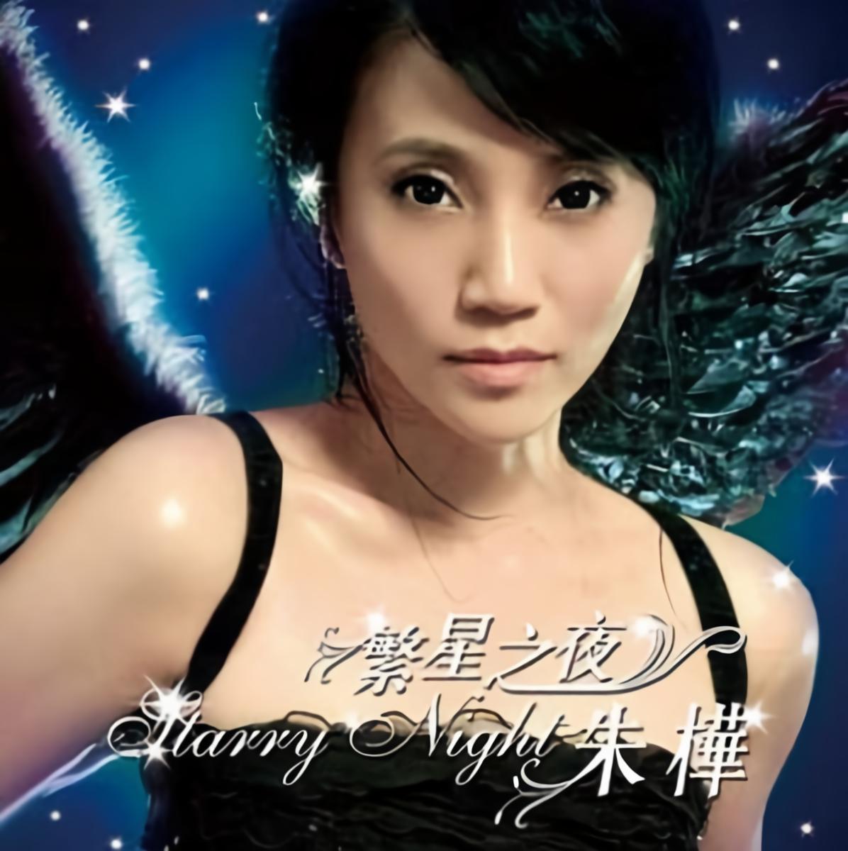 朱桦《繁星之夜》