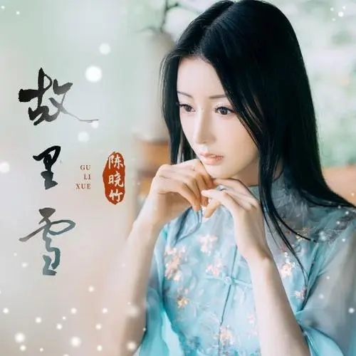 陈晓竹《故里雪》
