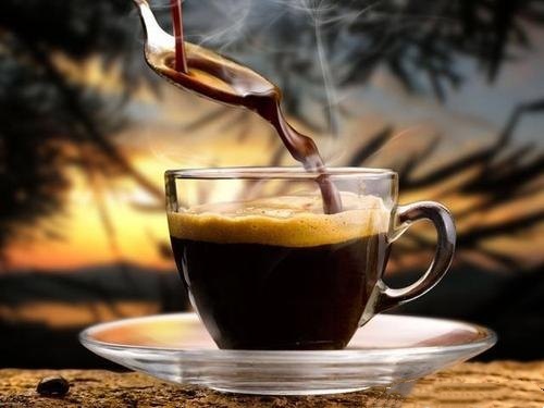 世界上最贵的咖啡Kopi Luwah