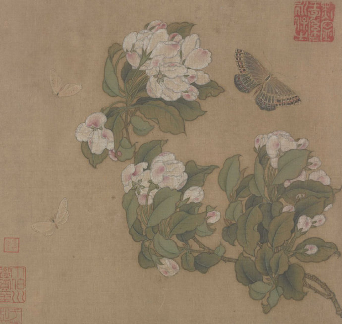 古代画中的海棠花
