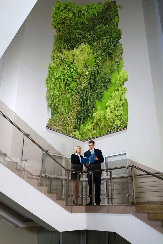 植物墙