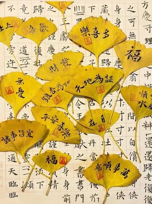 108个汉字多音字汇总