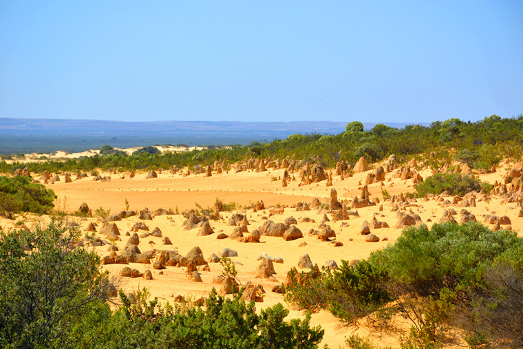 澳大利亚尖峰石阵 (Pinnacles)