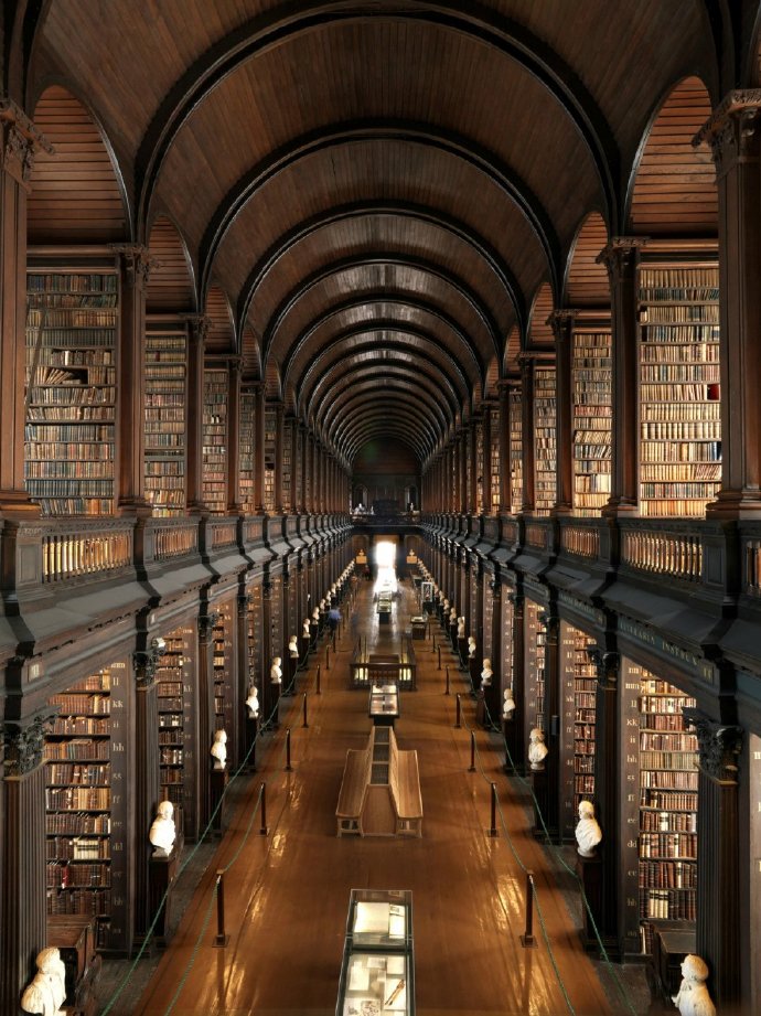 爱尔兰圣三一学院图书馆（Trinity College Library in D