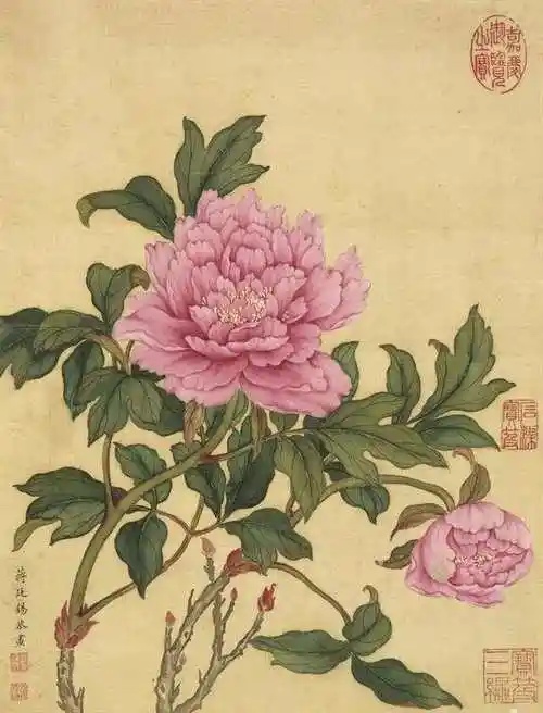 收藏秘籍！这样记宝贝