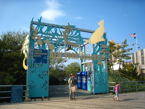 纽约水族馆