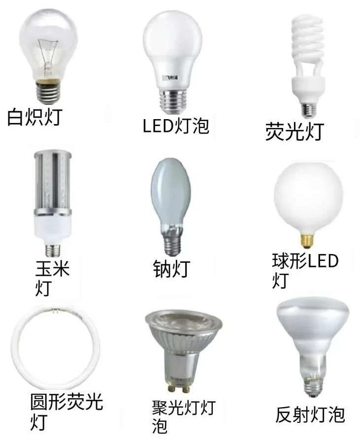 不同类型的灯泡