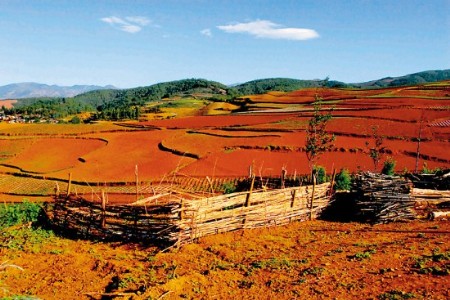 色彩诱惑，云南东川红土地