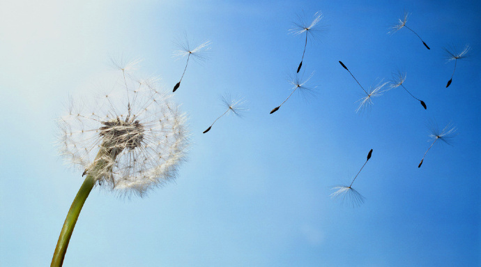 【谁曾见过风】Who Has Seen The Wind