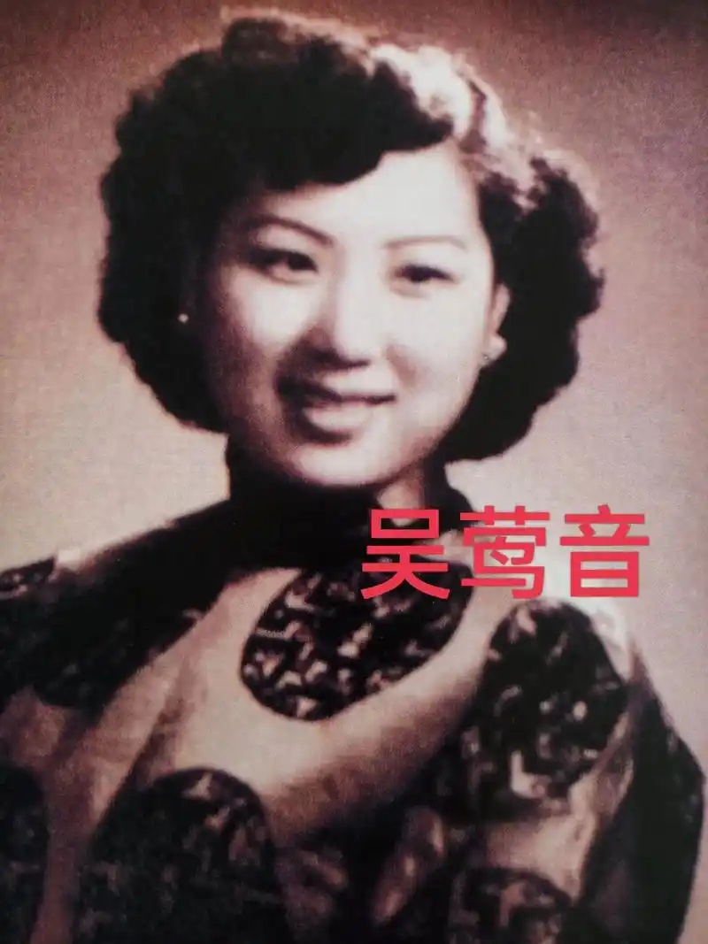 吴莺音演唱《萍水相逢》