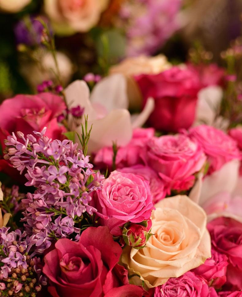 阿拉贡《丁香与玫瑰》（Les lilas et les roses）