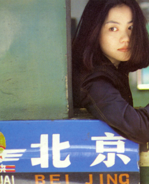  田维 王菲《花田半亩》