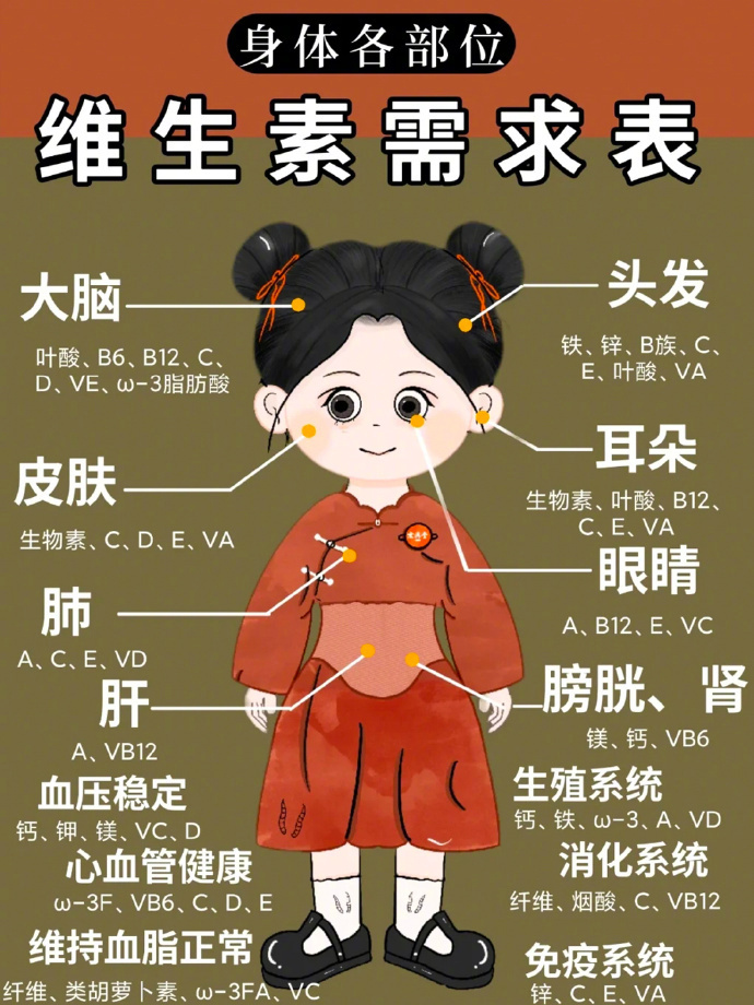 人身体各部位维生素需求一览表