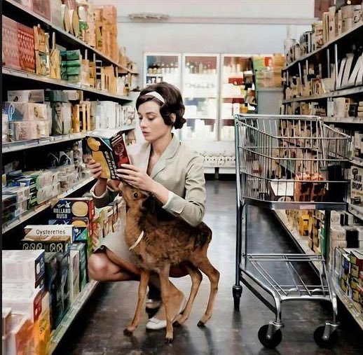 Audrey Hepburn with her pet fawn Pippin