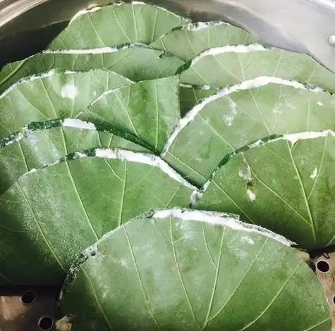 薄乐叶饼