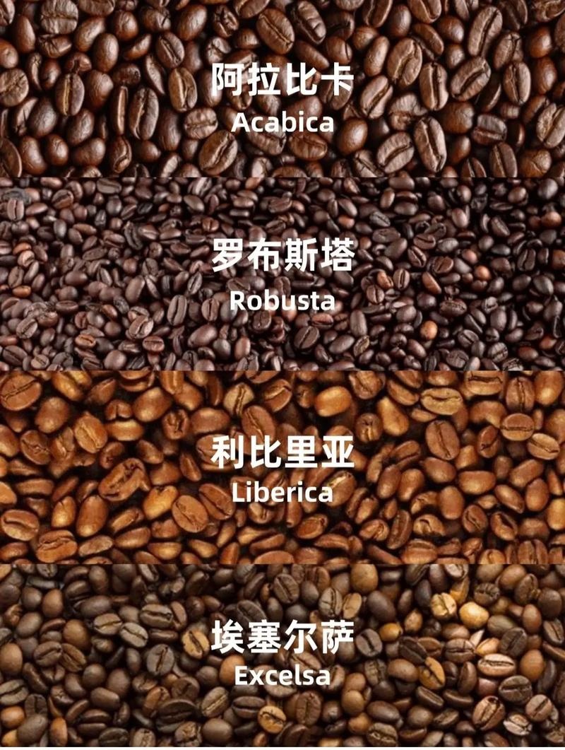 全球咖啡豆的产地