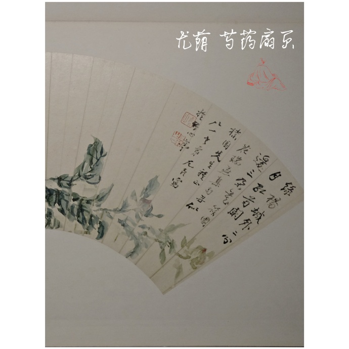 清代 芍药图扇页 故宫博物院