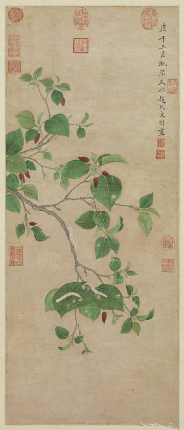明 赵文俶《春蚕食叶图》