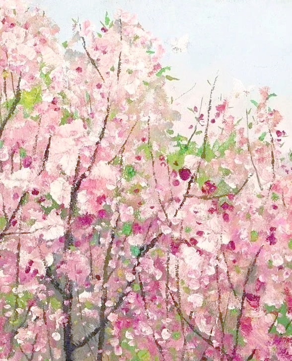 吴冠中散文《花》