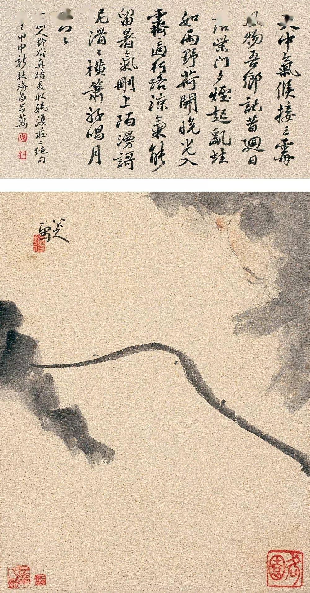 墨荷：朱耷最出彩的画题