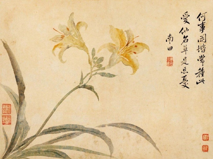恽寿平 萱草花