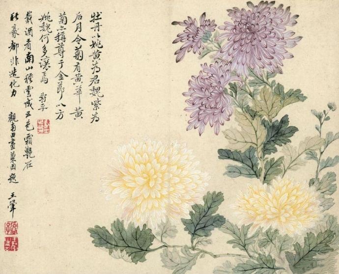 恽寿平的中式花花世界，瓯香馆写生册之九