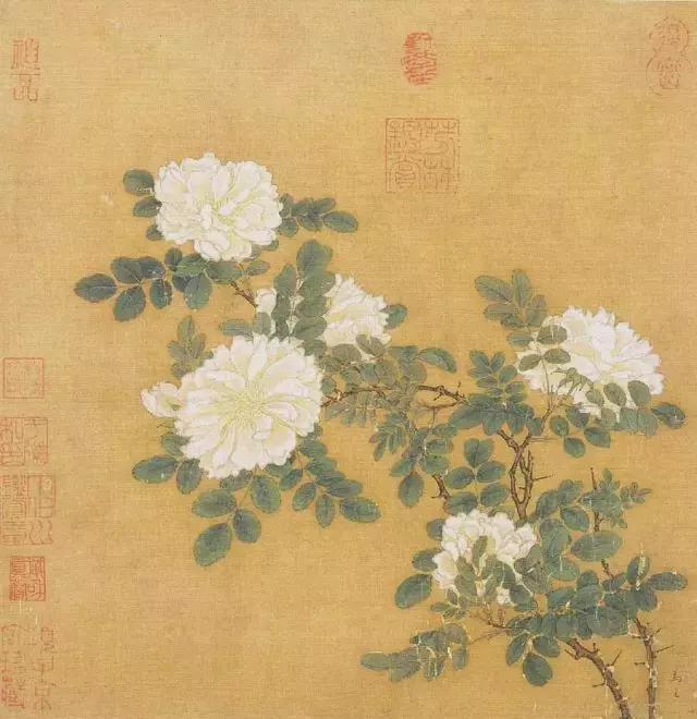 宋画欣赏--花鸟卷