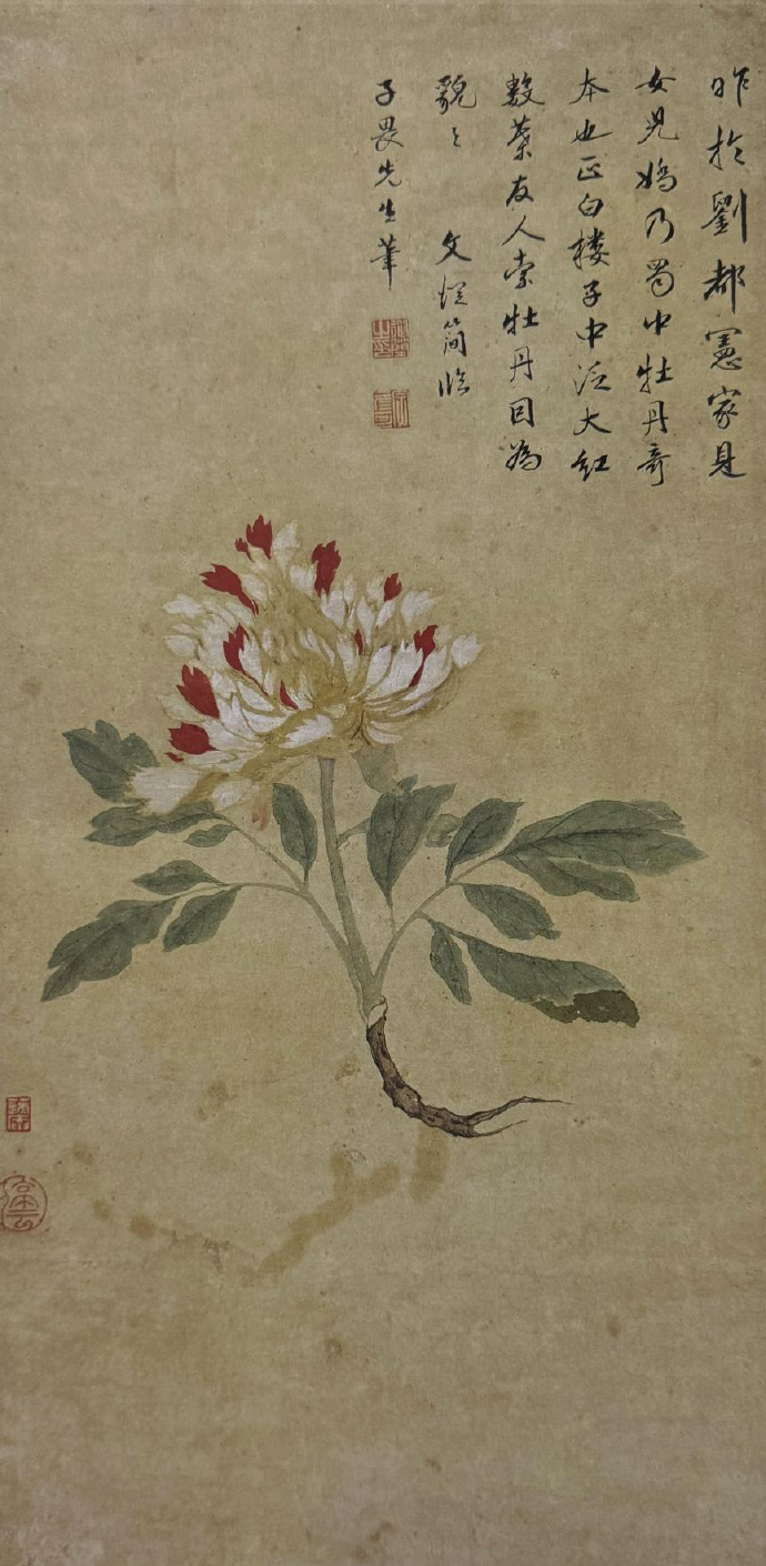 文从简《临唐寅牡丹图》