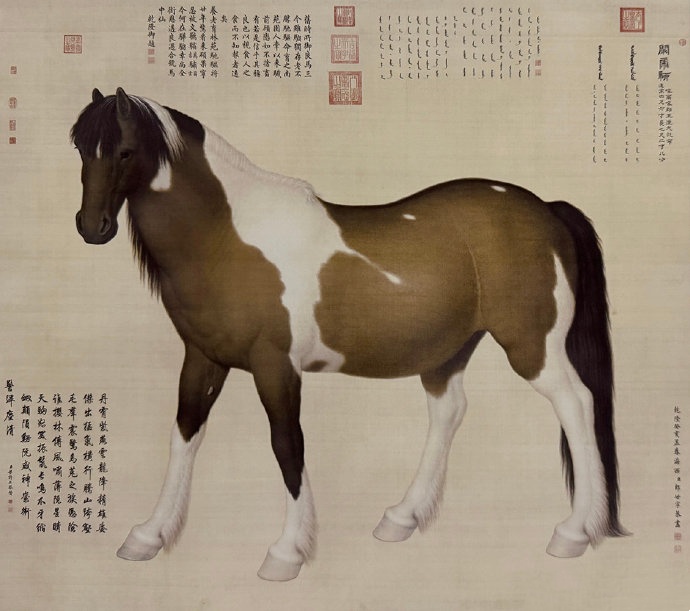 郎世宁《阚虎骝图》