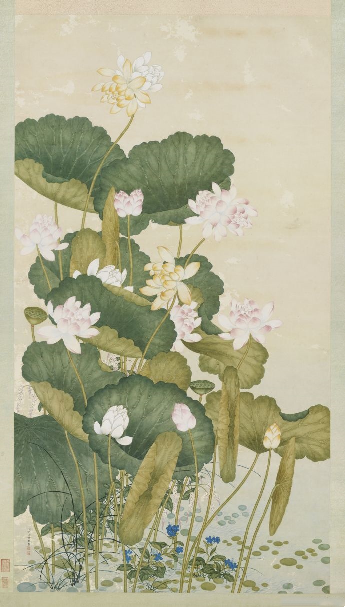 清 沈世杰 荷花图