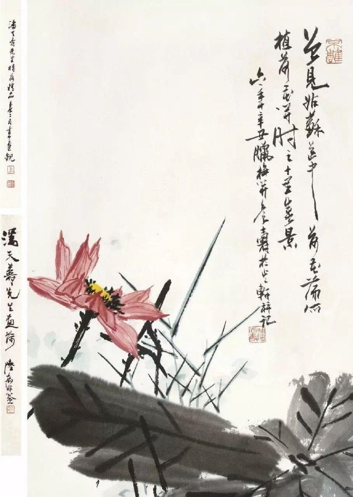 潘天寿的映日荷花