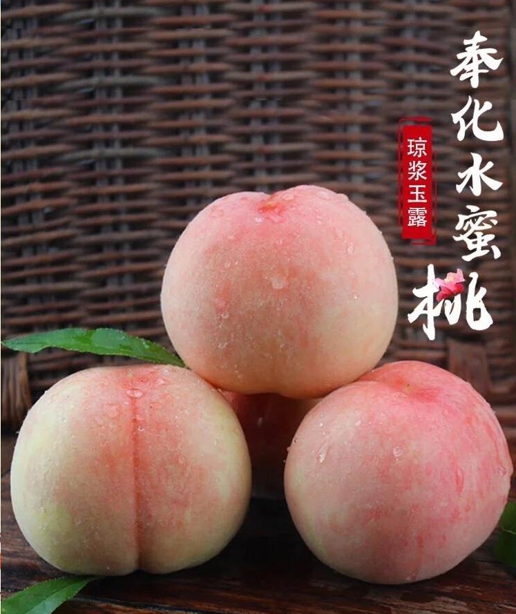 宁波时令果品