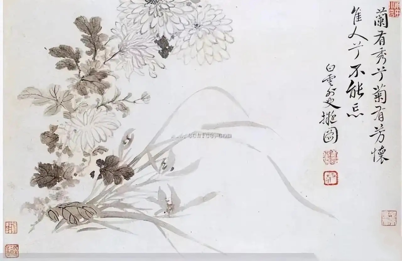 中国历代名家画菊花九十图欣赏（2）